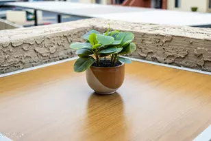 5704 E Aire Libre Ave, Scottsdale, AZ 85254 - Photo 57