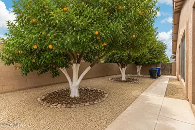 4556 E Downing Street, Mesa, AZ 85205 - Photo 45