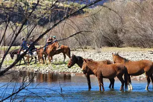 5729 E Hermosa Vista Dr, Mesa, AZ 85215 - Photo 31