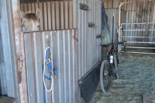 3080 W 8th South Pl, Saint Johns, AZ 85936 - Photo 19