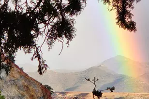 14 Maxfield Ave, Bisbee, AZ 85603 - Photo 3