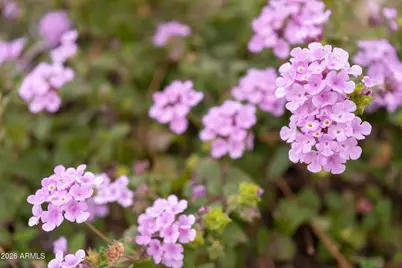 4107 E Pullman Road, Cave Creek, AZ 85331 - Photo 43