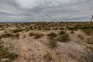 14617 N Riverview Ct, Florence, AZ 85132 - Photo 45