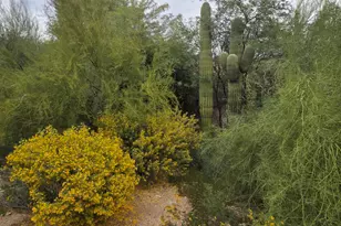 10425 N 10th Pl, Phoenix, AZ 85020 - Photo 7