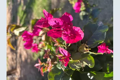 14049 N 153rd Drive, Surprise, AZ 85379 - Photo 39