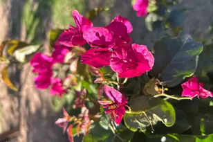 14049 N 153rd Dr, Surprise, AZ 85379 - Photo 39