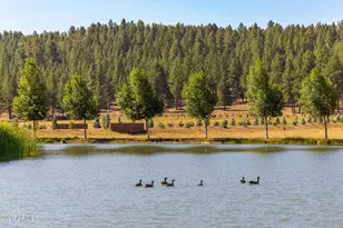 405 E Foxboro Rd, Munds Park, AZ 86017 - Photo 103