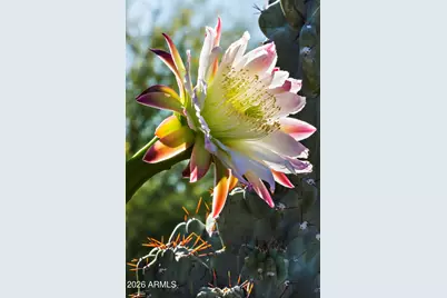 9162 E Sky Line Drive, Scottsdale, AZ 85262 - Photo 115