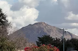 2419 E Oak St, Phoenix, AZ 85008 - Photo 17