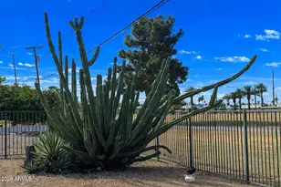 12236 N Pebble Beach Dr, Sun City, AZ 85351 - Photo 25