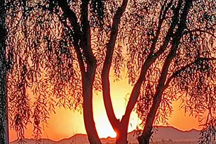 20221 N Grantham Rd, Maricopa, AZ 85138 - Photo 47