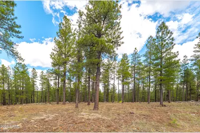2832 Andrew Douglass -- #802, Flagstaff, AZ 86005 - Photo 11