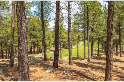 2832 Andrew Douglass -- #802, Flagstaff, AZ 86005 - Photo 9