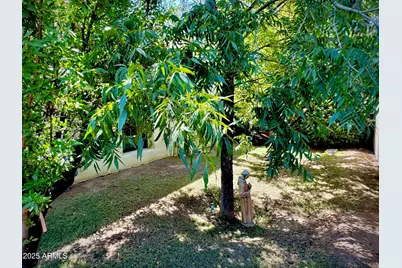 3126 N 28th Street, Phoenix, AZ 85016 - Photo 17