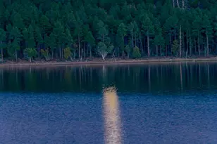 5974 Elk Springs --, Lakeside, AZ 85929 - Photo 43