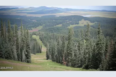 5974 Elk Springs --, Lakeside, AZ 85929 - Photo 49