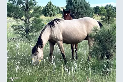 2381 Quarter Horse Trail #105, Overgaard, AZ 85933 - Photo 35