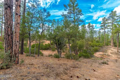 3109 E Game Trail #250, Payson, AZ 85541 - Photo 7