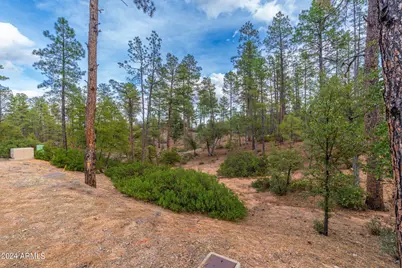3109 E Game Trail #250, Payson, AZ 85541 - Photo 3
