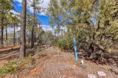 4701 S Pine Way #9, Show Low, AZ 85901 - Photo 9