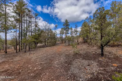 4701 S Pine Way #9, Show Low, AZ 85901 - Photo 1