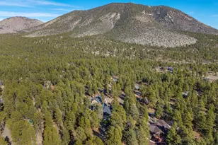 890 E Hattie Greene, Flagstaff, AZ 86001 - Photo 97