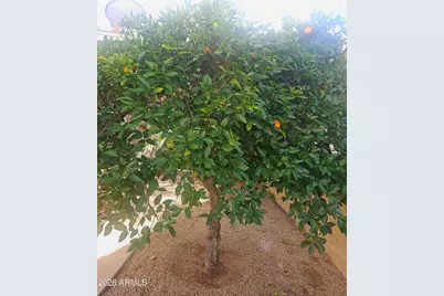 6420 W Yucca Street W, Glendale, AZ 85304 - Photo 31