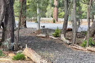 4260 W Falling Leaf Rd, Show Low, AZ 85901 - Photo 29