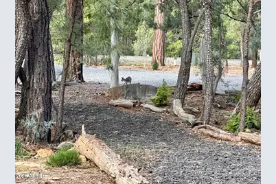 4260 W Falling Leaf Road, Show Low, AZ 85901 - Photo 3
