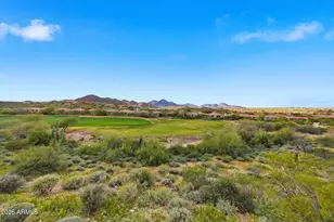 13846 N Sunflower Dr, Fountain Hills, AZ 85268 - Photo 31