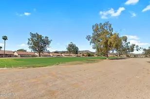 12238 S Shoshoni Dr, Phoenix, AZ 85044 - Photo 19