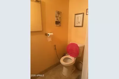 2423 E Tracy Lane #3, Phoenix, AZ 85032 - Photo 9