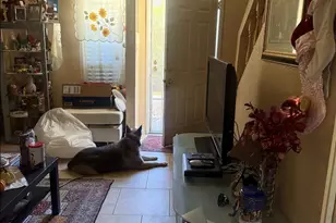 2423 E Tracy Ln, Phoenix, AZ 85032 - Photo 3