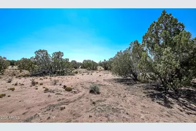141 County Rd N9211 -- #-, Snowflake, AZ 85937 - Photo 5