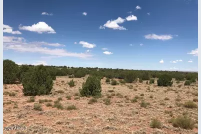 141 County Rd N9211 -- #-, Snowflake, AZ 85937 - Photo 13