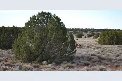 141 County Rd N9211 -- #-, Snowflake, AZ 85937 - Photo 7
