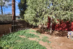 804 N Easy St, Payson, AZ 85541 - Photo 71