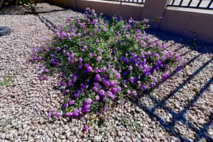 14313 W Alvarado Dr, Goodyear, AZ 85395 - Photo 23