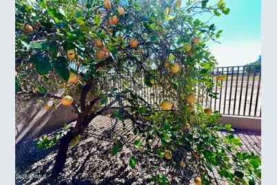 14313 W Alvarado Drive, Goodyear, AZ 85395 - Photo 21