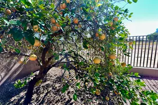 14313 W Alvarado Dr, Goodyear, AZ 85395 - Photo 21