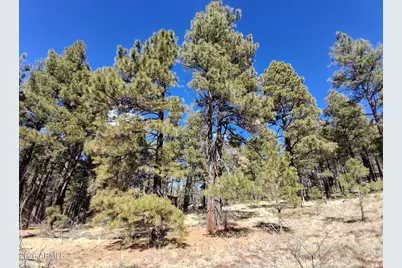 13696 E Kings Deer Road #-, Parks, AZ 86018 - Photo 21