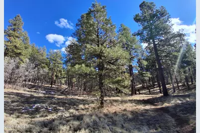 13696 E Kings Deer Road #-, Parks, AZ 86018 - Photo 23