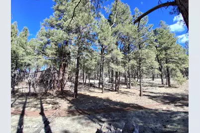 13696 E Kings Deer Road #-, Parks, AZ 86018 - Photo 17