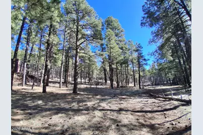 13696 E Kings Deer Road #-, Parks, AZ 86018 - Photo 1