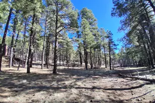 13696 E Kings Deer Rd, Parks, AZ 86018 - Photo 1