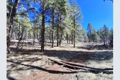 13696 E Kings Deer Road #-, Parks, AZ 86018 - Photo 15