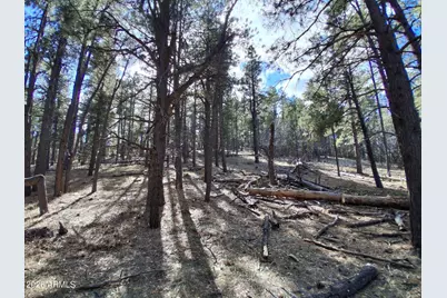 13696 E Kings Deer Road #-, Parks, AZ 86018 - Photo 25