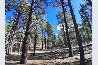 13696 E Kings Deer Road #-, Parks, AZ 86018 - Photo 27