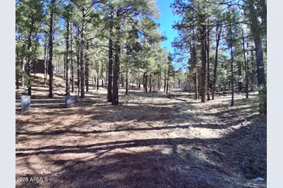 13696 E Kings Deer Road #-, Parks, AZ 86018 - Photo 11