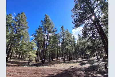 13696 E Kings Deer Road #-, Parks, AZ 86018 - Photo 29